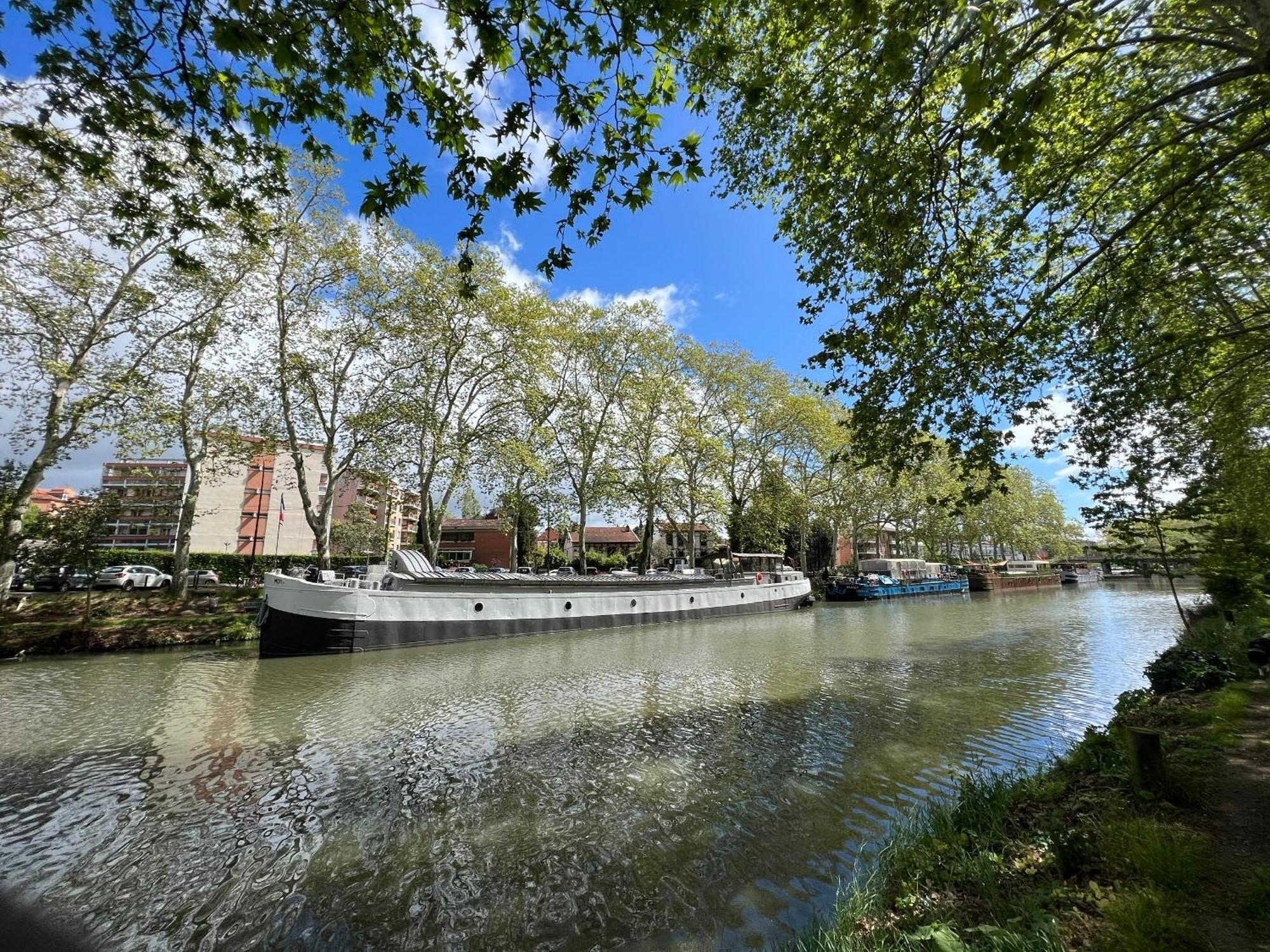 Sunset Duplex - Grand-Rond, Jardin Des Plantes, Centre-Ville, 2 Bdrs 60M2, Ac, Free Public Car Park 200M Away, Netflix - T3 60M2 Avec Clim, Parking Public Gratuit A 200M Toulouse Exteriör bild